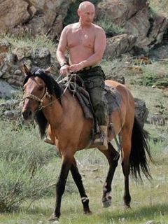 Putin.jpg