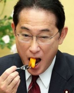 柿食い岸田文雄(64).jpg